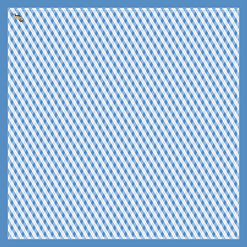 Schottenhamel Nikituch